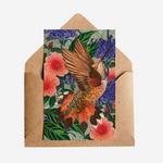 Cards - Rufous Hummingbird - 6 Pack