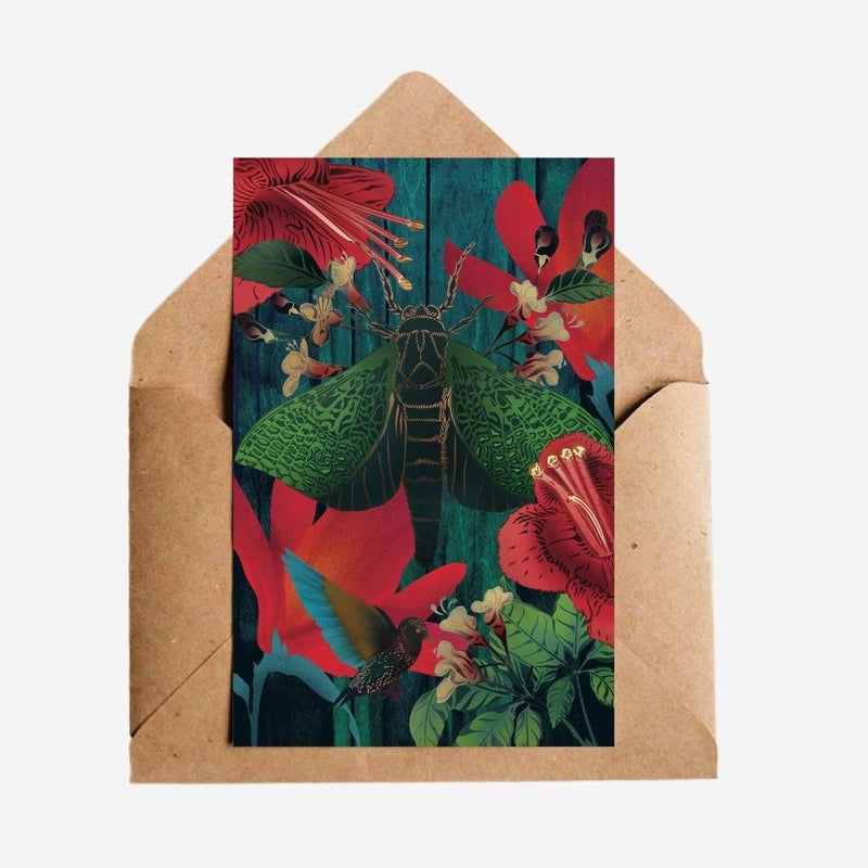 Cards - Moth & Puiri - 6 Pack