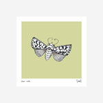 Print - Pēpepe - Moth
