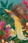Cards - Bird of Paradise & Pacifica - 6 Pack