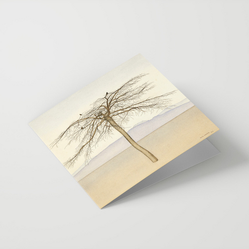 Rita Angus - Cards - Tree - 6 Pack