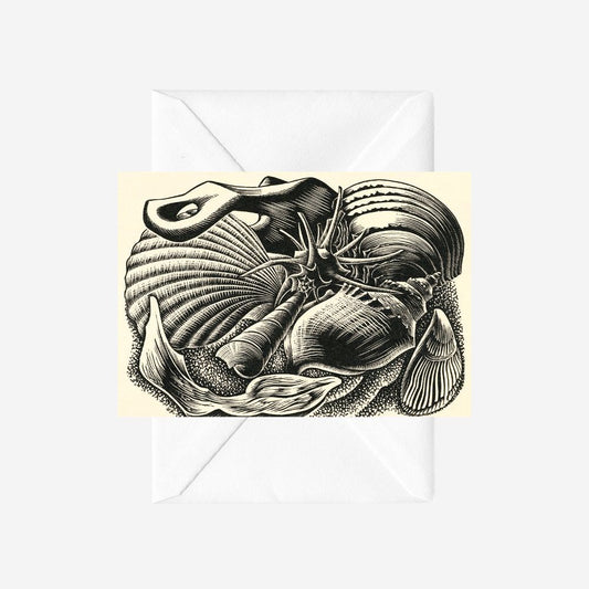 E. Mervyn Taylor - Card - Shells; 1954