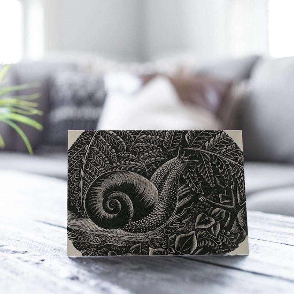 E. Mervyn Taylor - Card - Kauri Snail; 1953