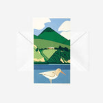 Robin White - Cards - White oystercatcher and Harbour Cone - 6 Pack