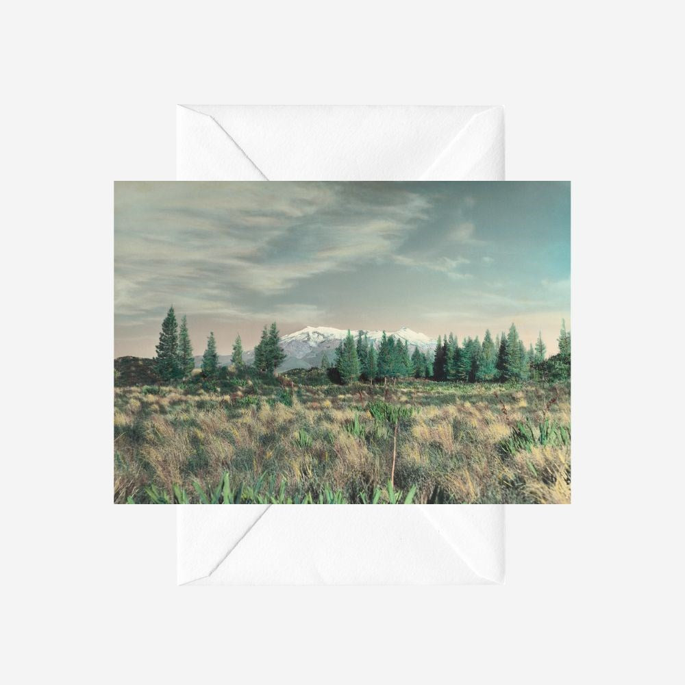Whites Aviation - Card - Mt Ruapehu