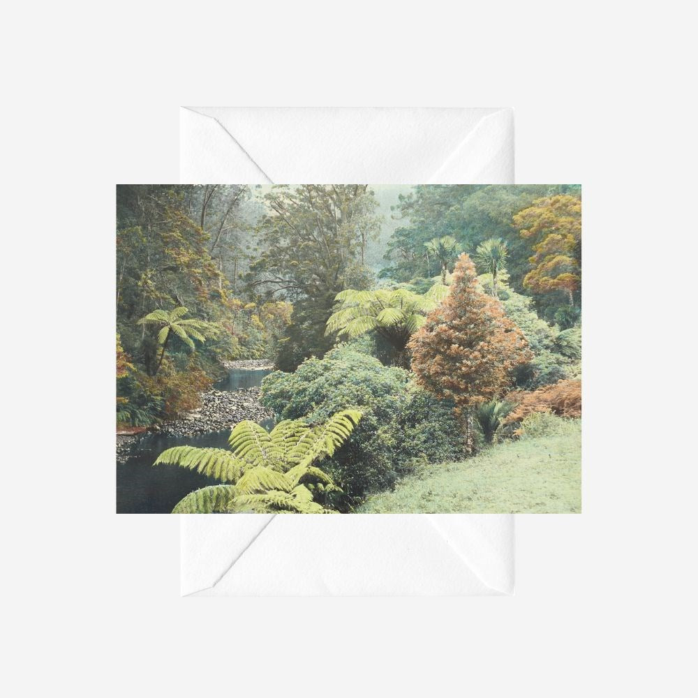 Whites Aviation - Card - New Zealand Bush