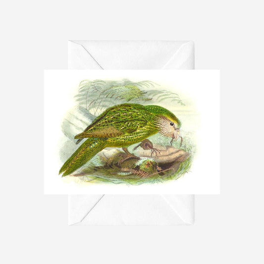 Johannes Keulemans - Card - Kakapo