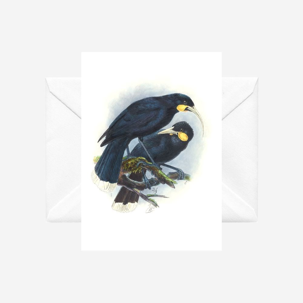 Johannes Keulemans - Card - Huia