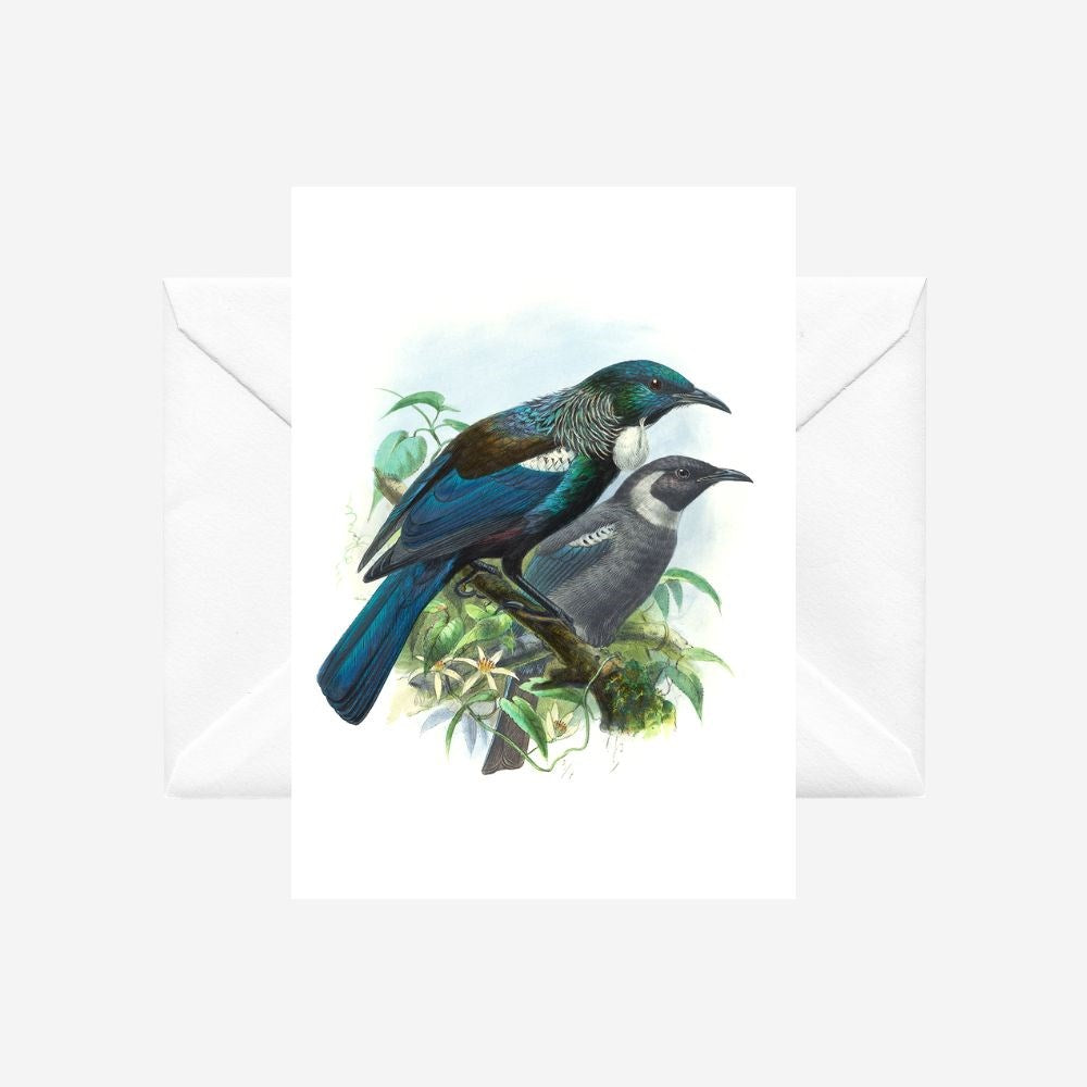 Johannes Keulemans - Card - Tui