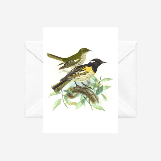 Johannes Keulemans - Card - Stitchbird - Hihi