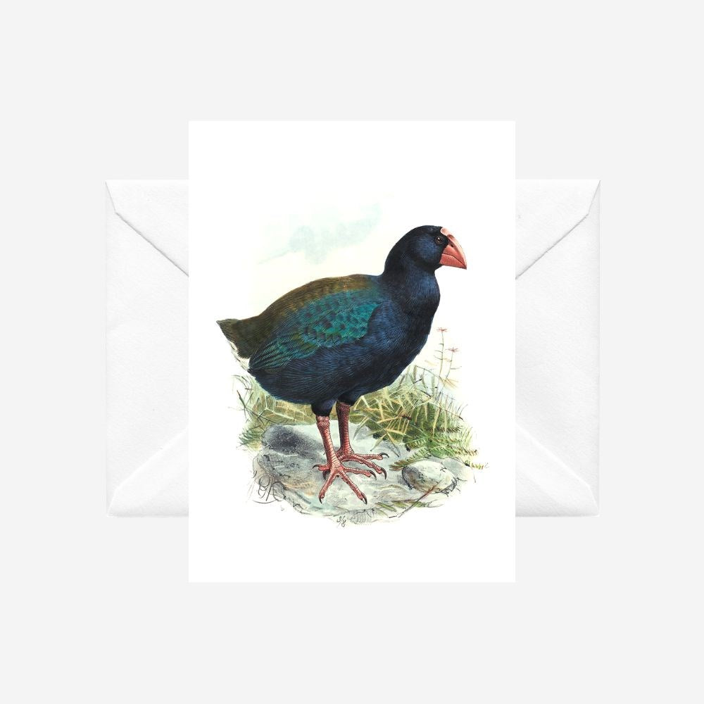 Johannes Keulemans - Card - South Island Takahe
