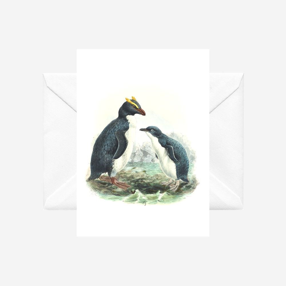 Johannes Keulemans - Card - Fiordland Crested Penguin - Tawaki and Little Penguin - Korora