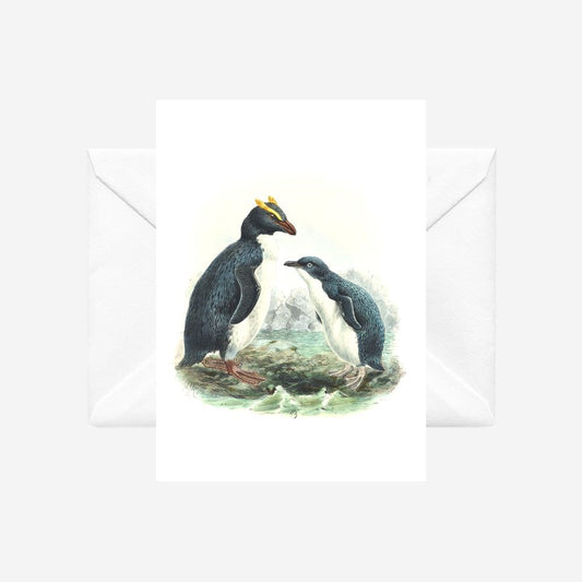 Johannes Keulemans - Card - Fiordland Crested Penguin - Tawaki and Little Penguin - Korora