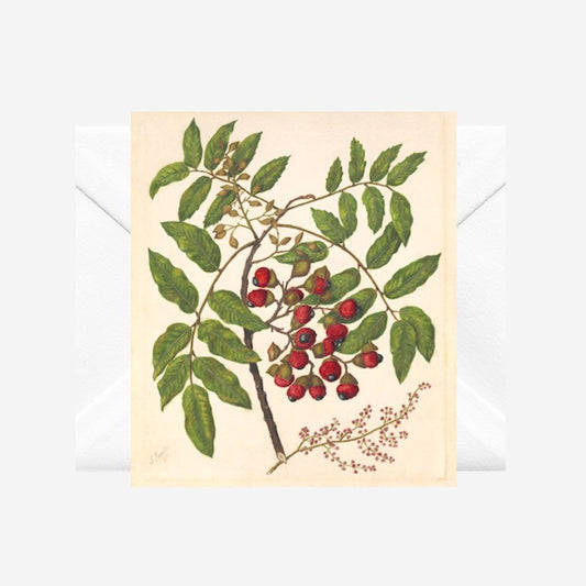 Sarah Featon - Card - Titoki