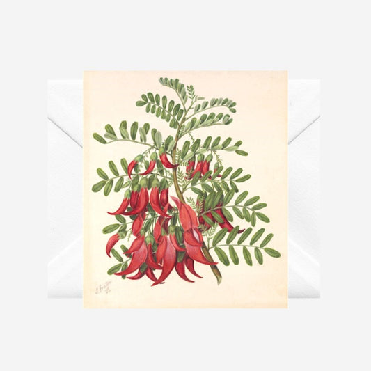 Sarah Featon - Card - Kowhai-ngutu-kaka