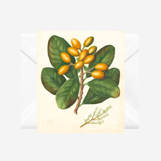 Sarah Featon - Card - Karaka
