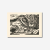 E. Mervyn Taylor - Print - Kotare