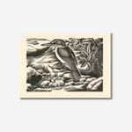 E. Mervyn Taylor - Print - Kotare