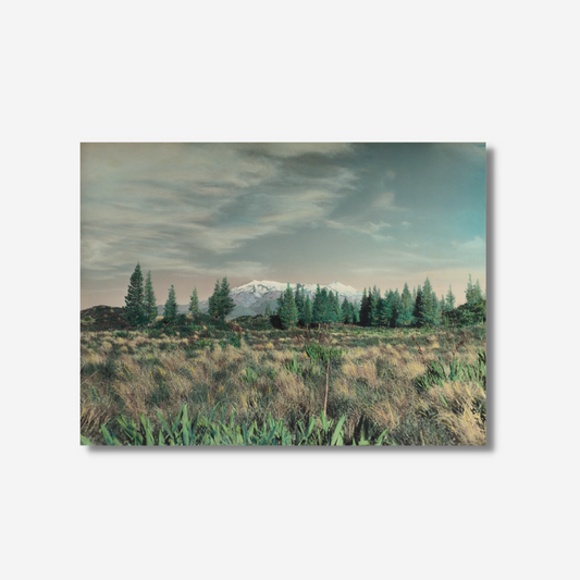 Whites Aviation - Print - Mt Ruapehu