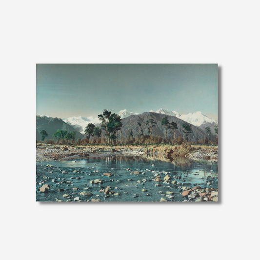 Whites Aviation - Print - Clearwater