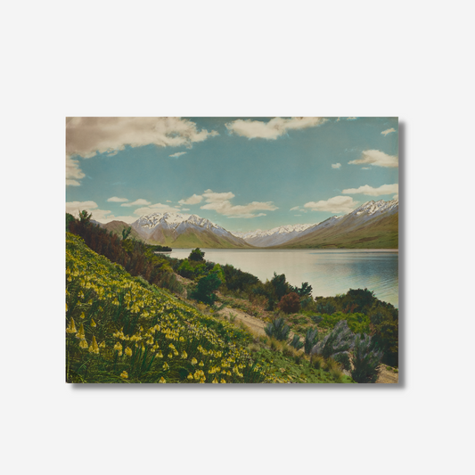 Whites Aviation - Print - Lake Ohau, Waitaki country