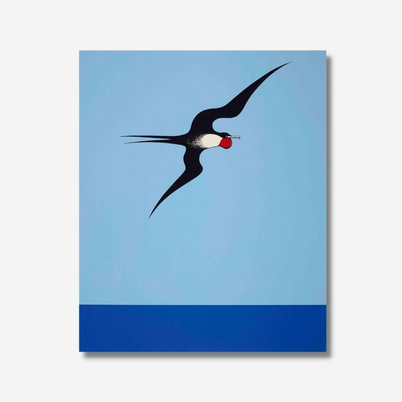Don Binney - Print - Pacific Frigate Bird