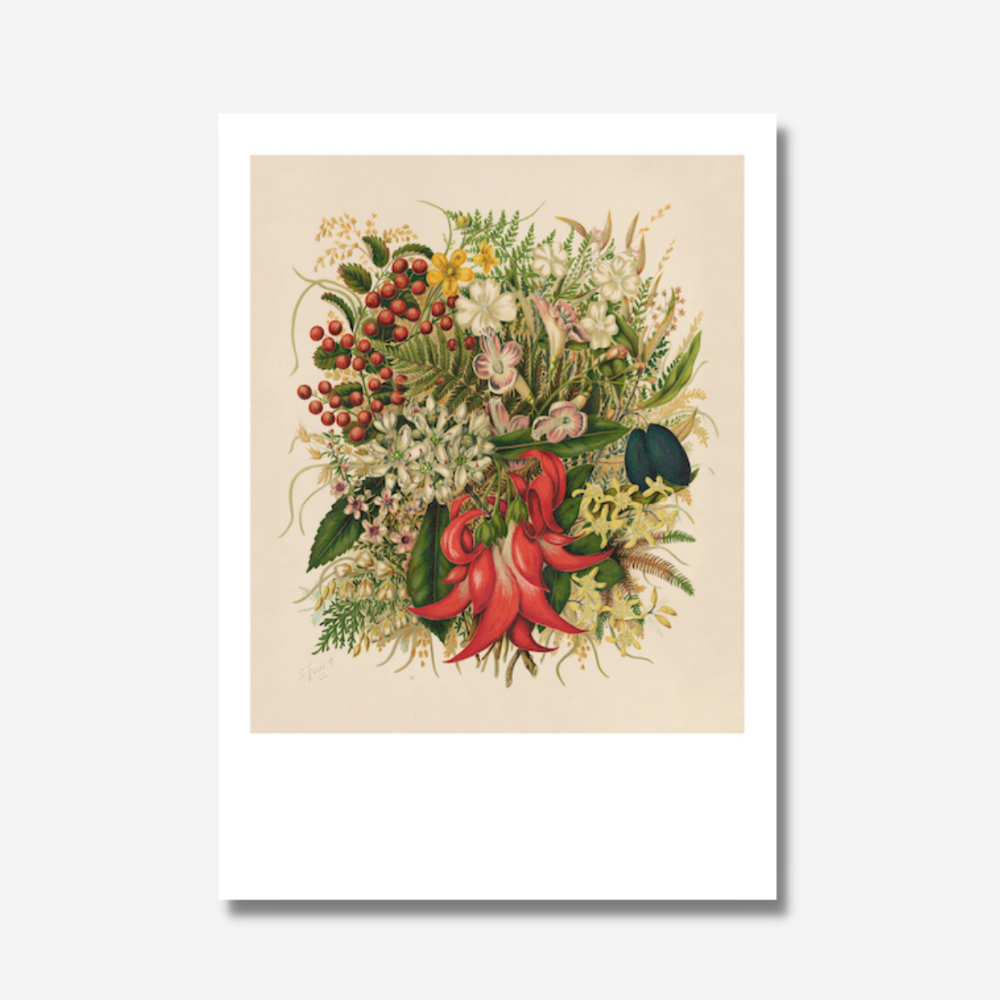 Sarah Featon - Print - Wild Flowers and Berries